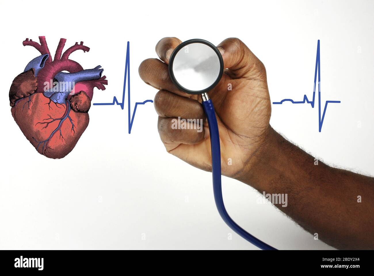 Battito cardiaco umano Foto Stock