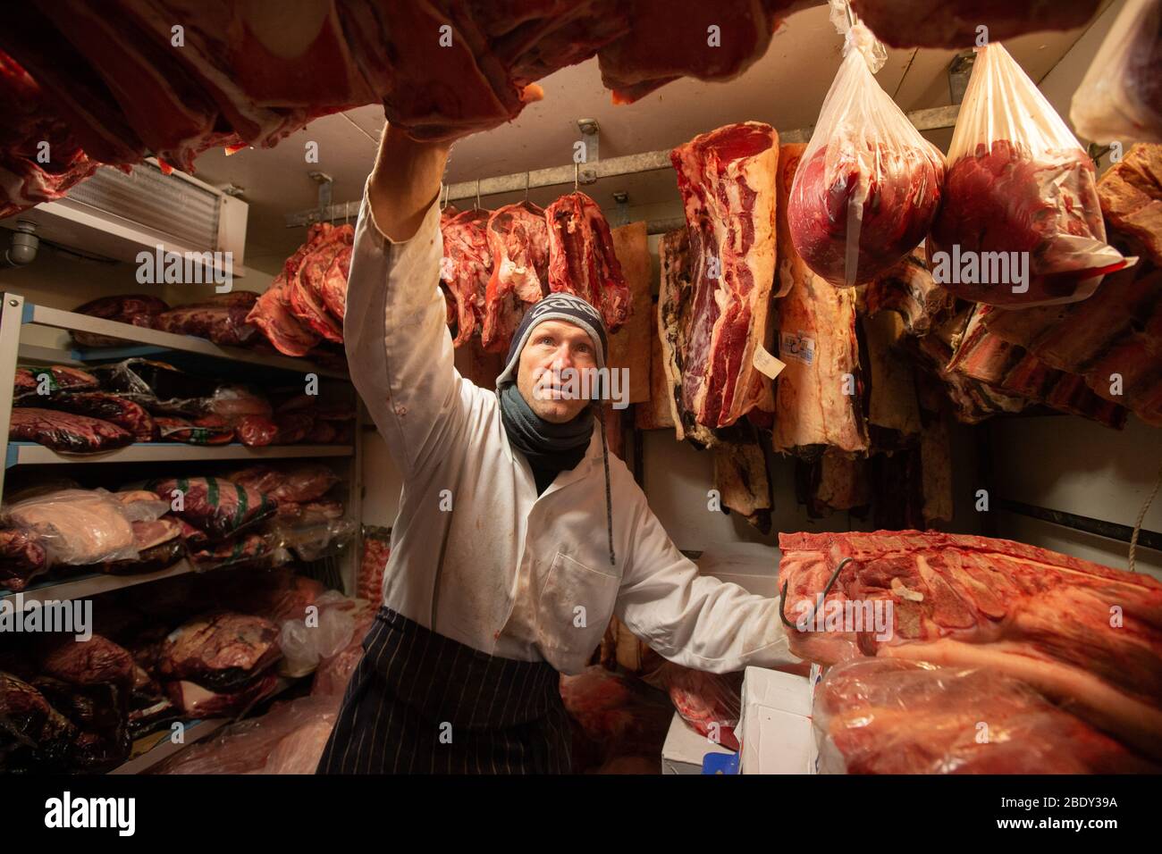 Un macellaio controlla il suo stock in una sala fredda a Londra. La carne deve essere tenuta fredda per mantenerla fresca. Foto Stock
