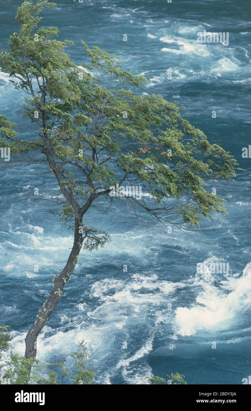 Tempeste di tempesta immagini e fotografie stock ad alta risoluzione - Alamy