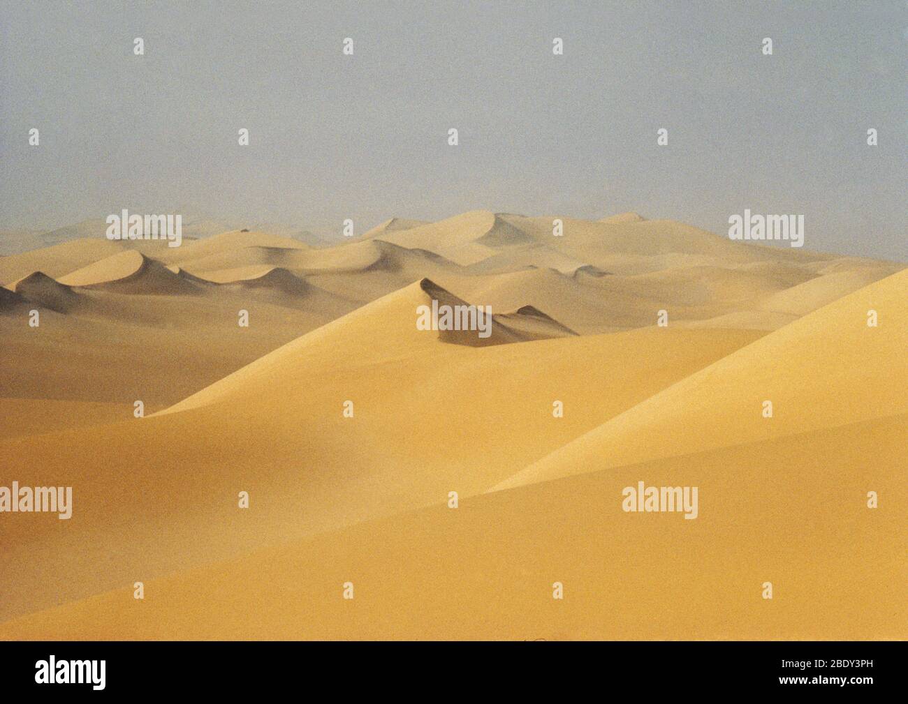 Deserto del Sahara, Algeria Foto Stock