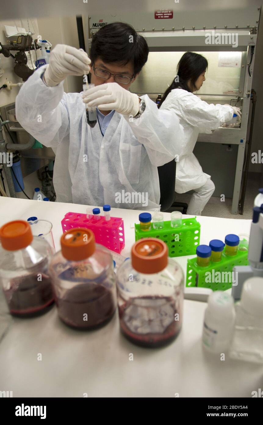 La FDA sangue Research Lab, 2013 Foto Stock