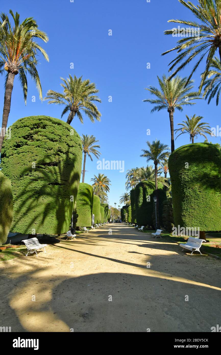 In un parco pubblico a Cadice, città di Spagna Foto Stock