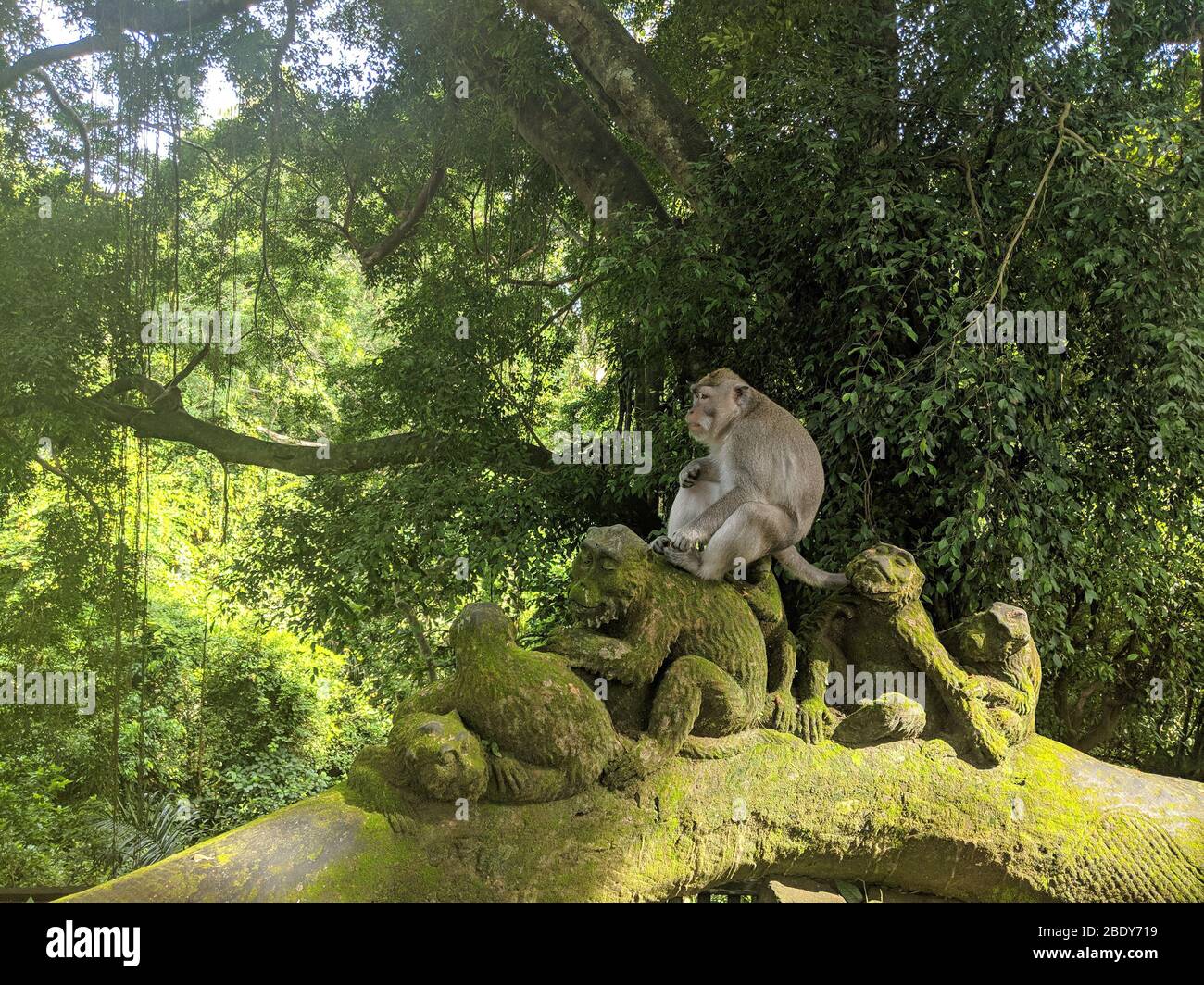 Bali Indonesia Ubud Monkey Forest Famiglia. Bali Indonesia Ubud famosa Foresta delle scimmie Famiglia. Scimmia balinese seduta su una scultura in pietra di scimmie Foto Stock