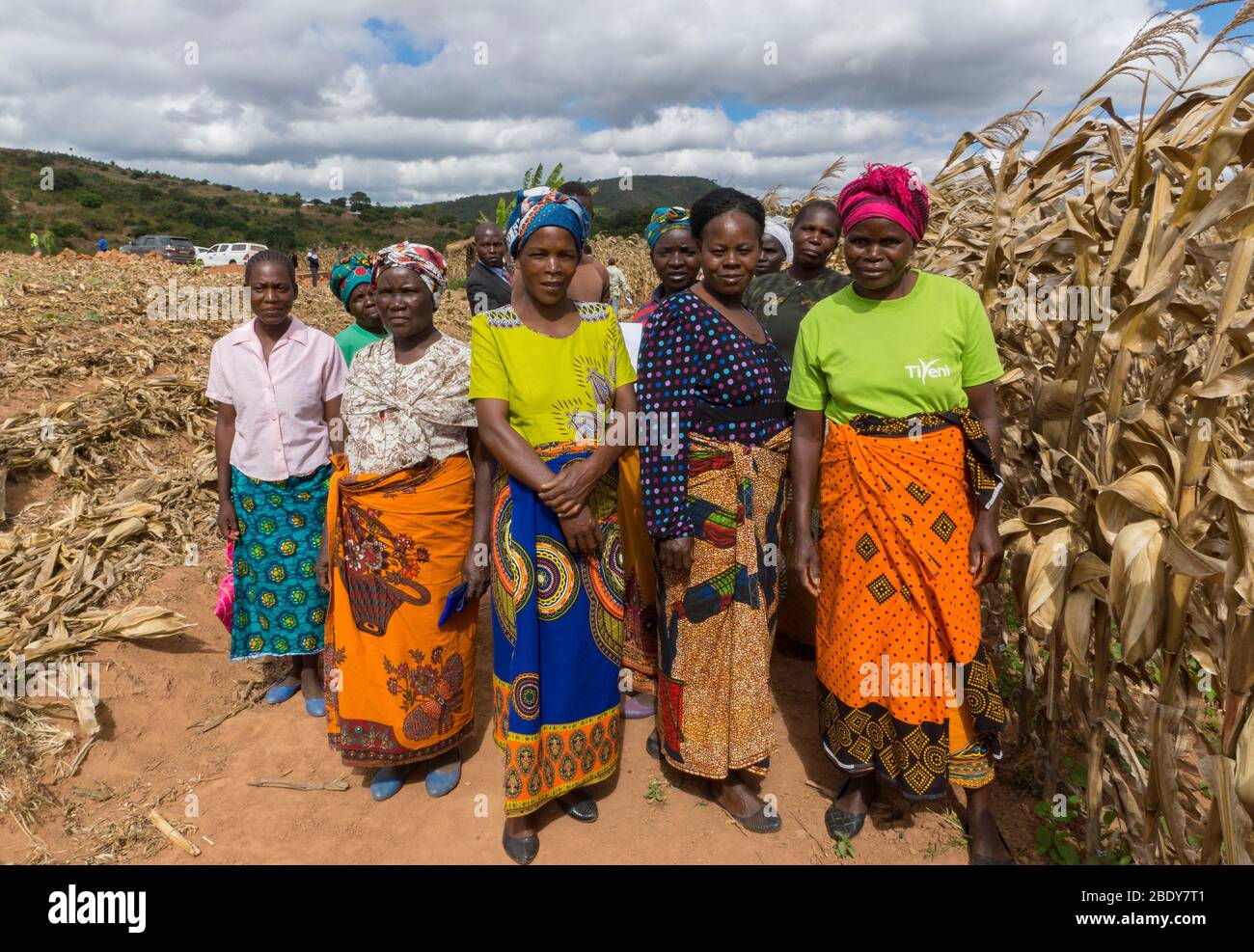 Un gruppo di donne contadine si levano in piedi dal loro mais raccolto Campi in Malawi (agricoltura di conservazione sostenibile) Foto Stock