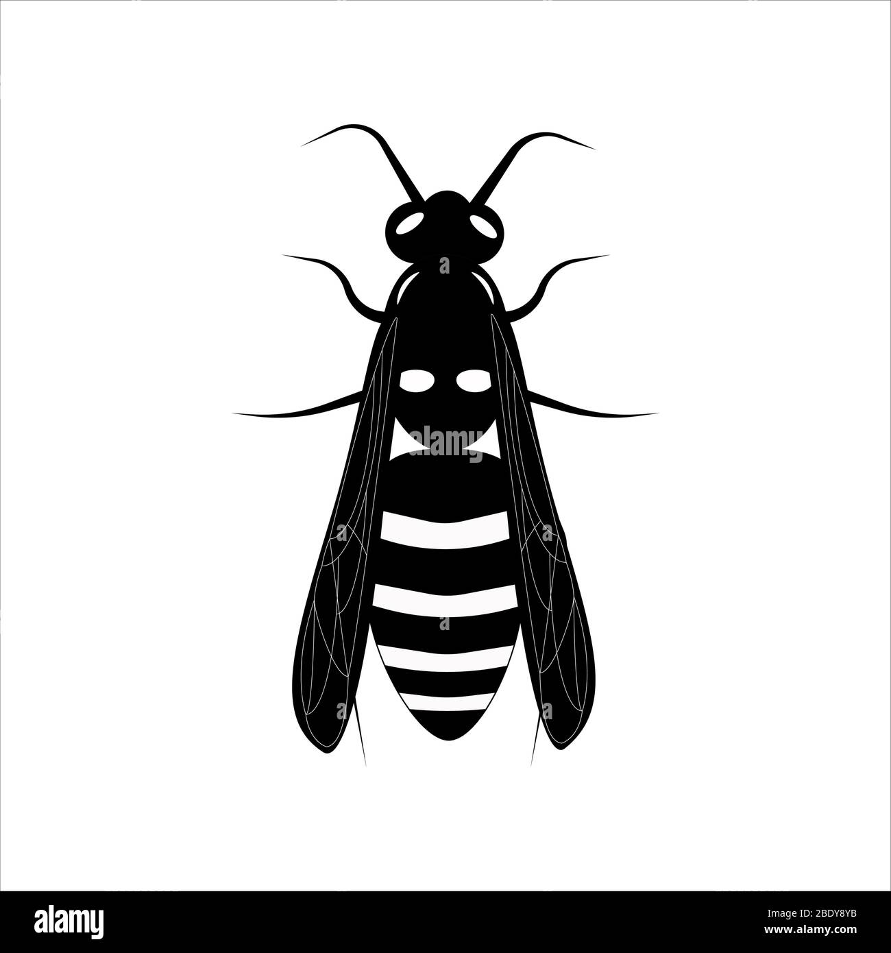 Wasp. Volanti Ape di miele. Illustrazione botanica. Animale di insetto, esotico. Vettore isolato su sfondo bianco. Illustrazione Vettoriale