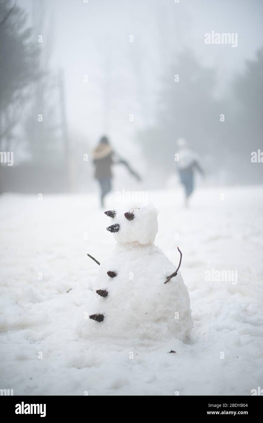 Muñeco de nieve Foto Stock