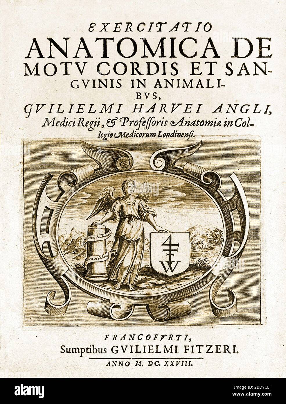 William Harvey, De Motu CORDIS, pagina del titolo, 1628 Foto Stock