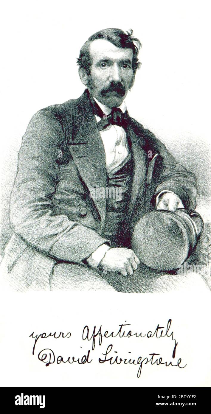 David Livingstone, Scottish Explorer Foto Stock