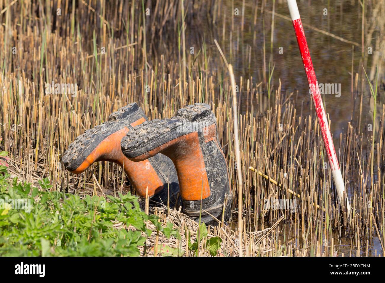 Acqua profonda divertente monito pondside con stivali wellington capovolti in arancione e nero e un rosso e bianco asta calibro di profondità nelle canne Foto Stock