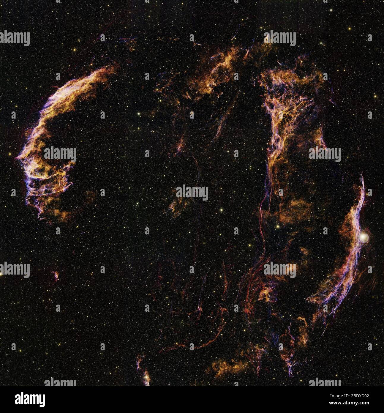 Cygnus Loop, W78, sh2-103, Supernova residuo Foto Stock