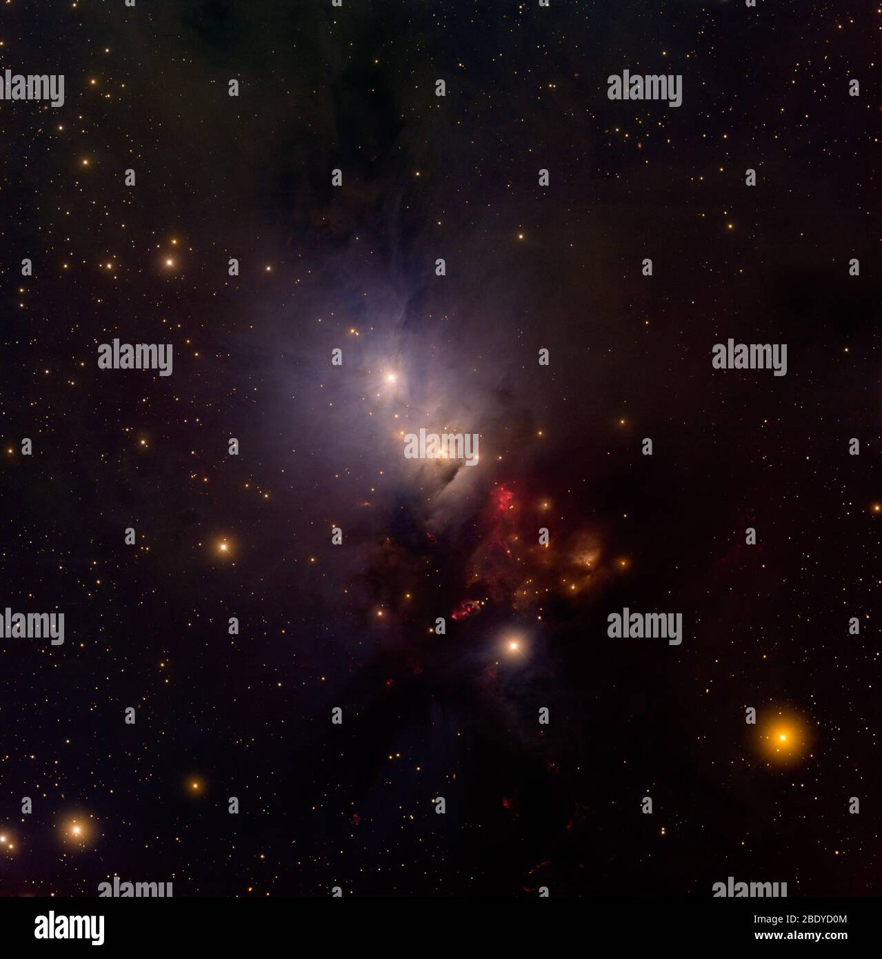 Reflection Nebula, NGC 1333 Foto Stock