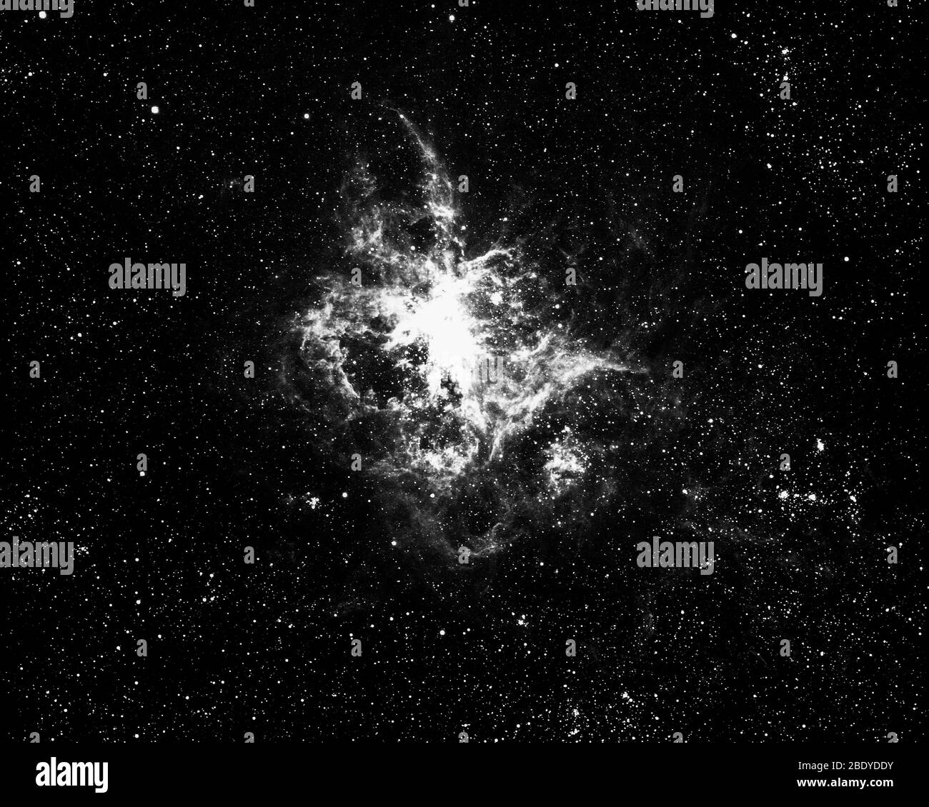 Tarantula Nebula, NGC 2070, 30 Doradus Foto Stock