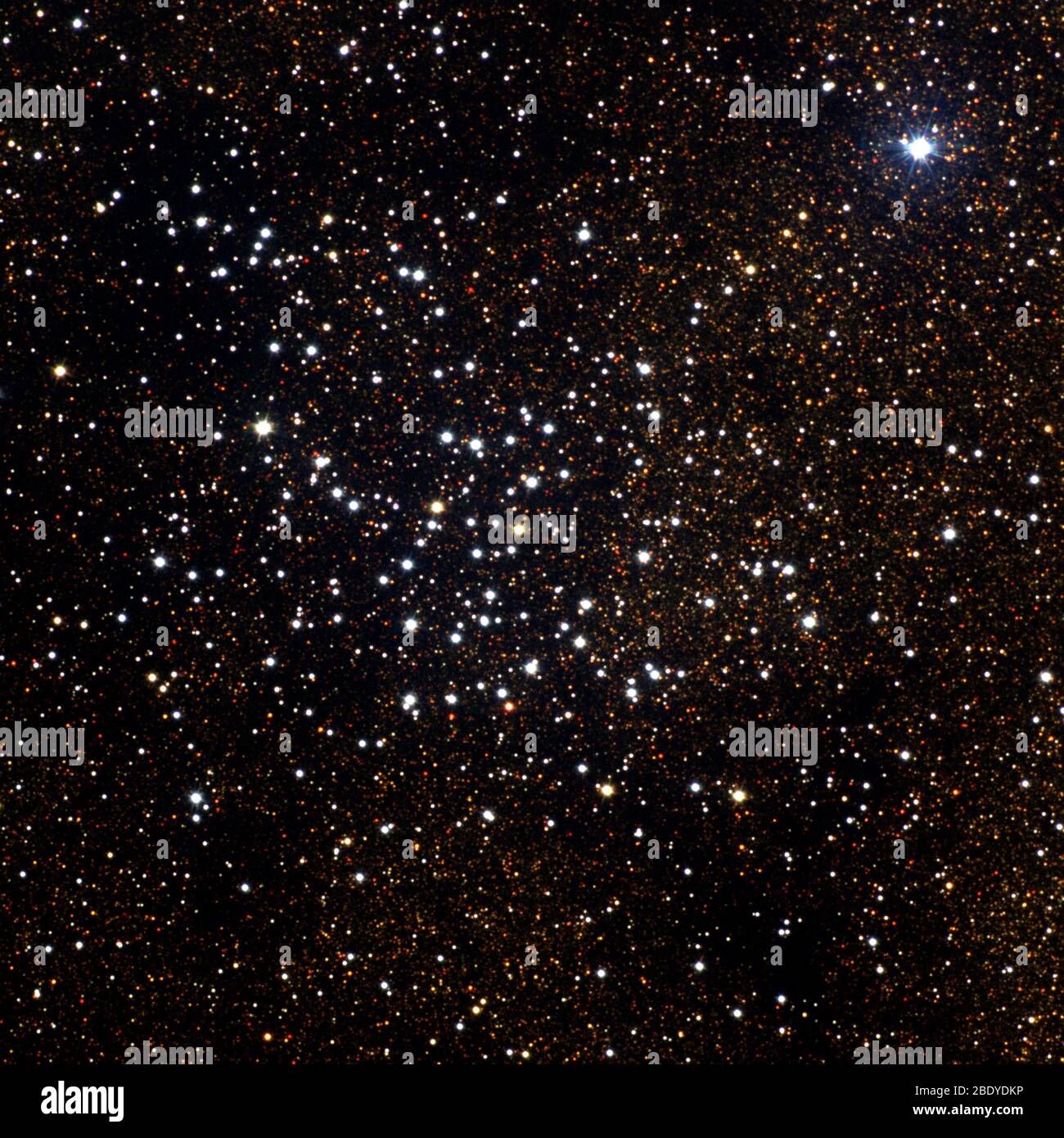 Open Star Cluster, M23, NGC Foto Stock