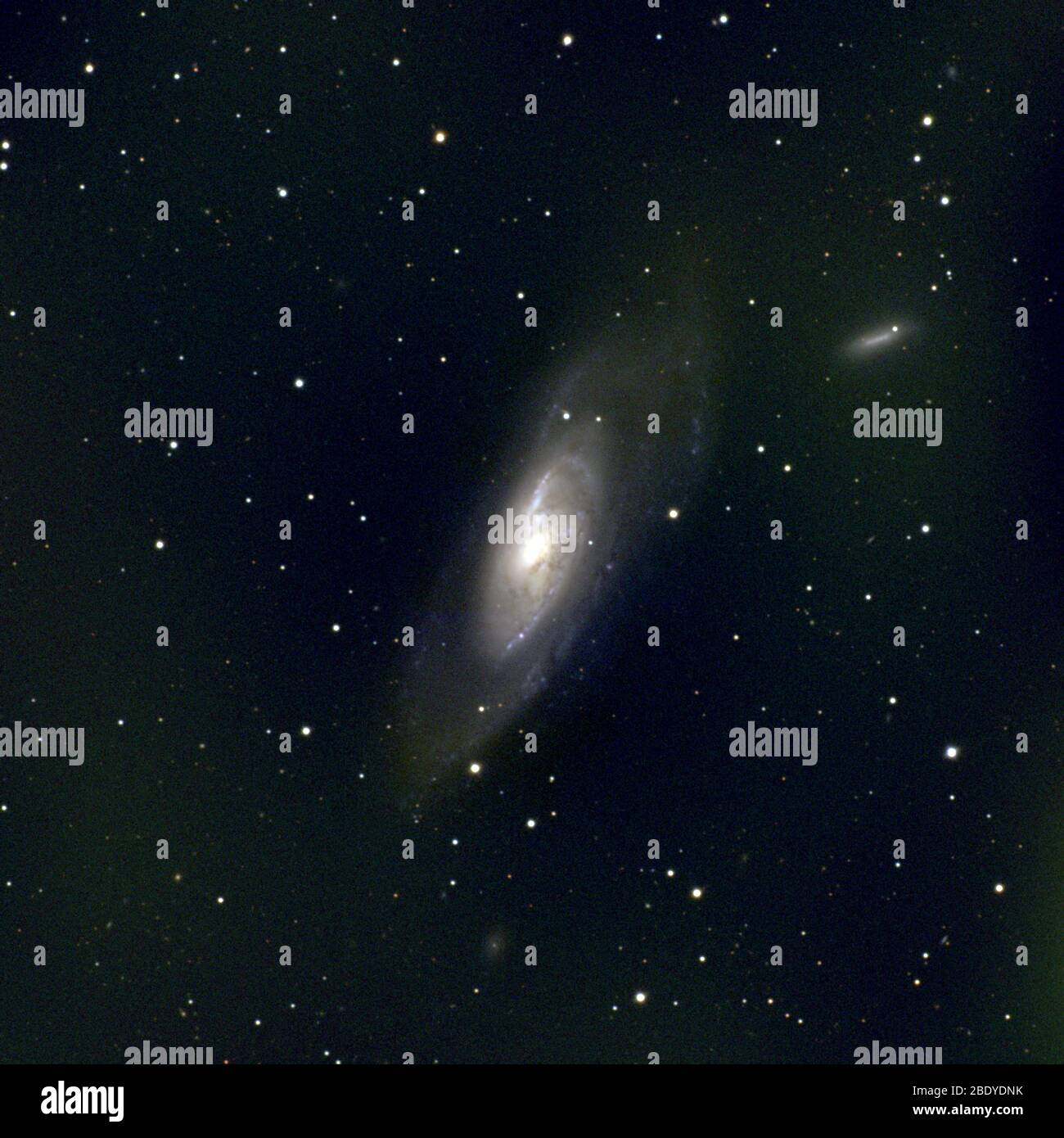 Galassia a spirale M106, NGC 4258 Foto Stock