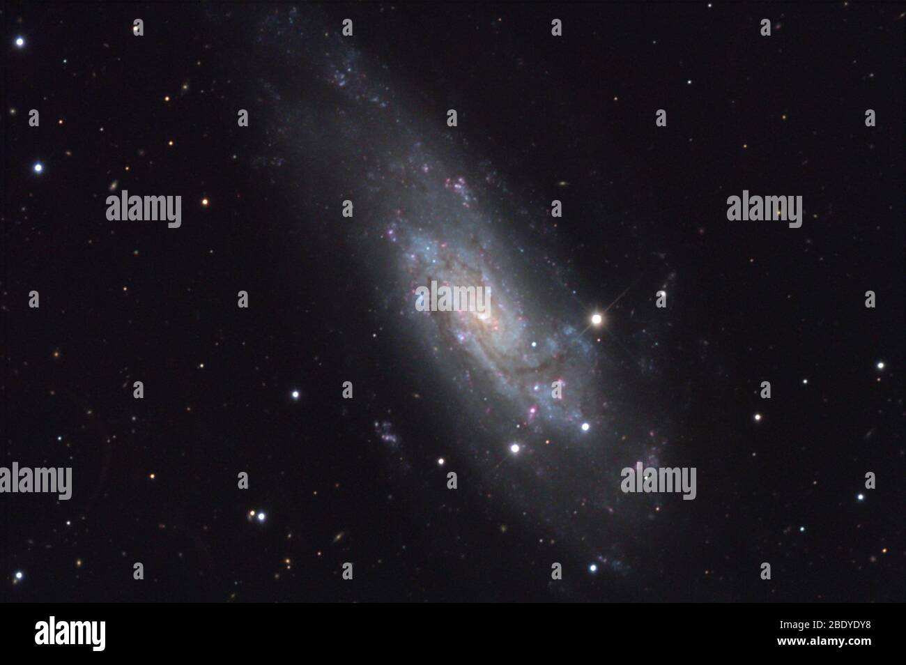 Spiral Galaxy, NGC 4559, Caldwell 36 Foto Stock