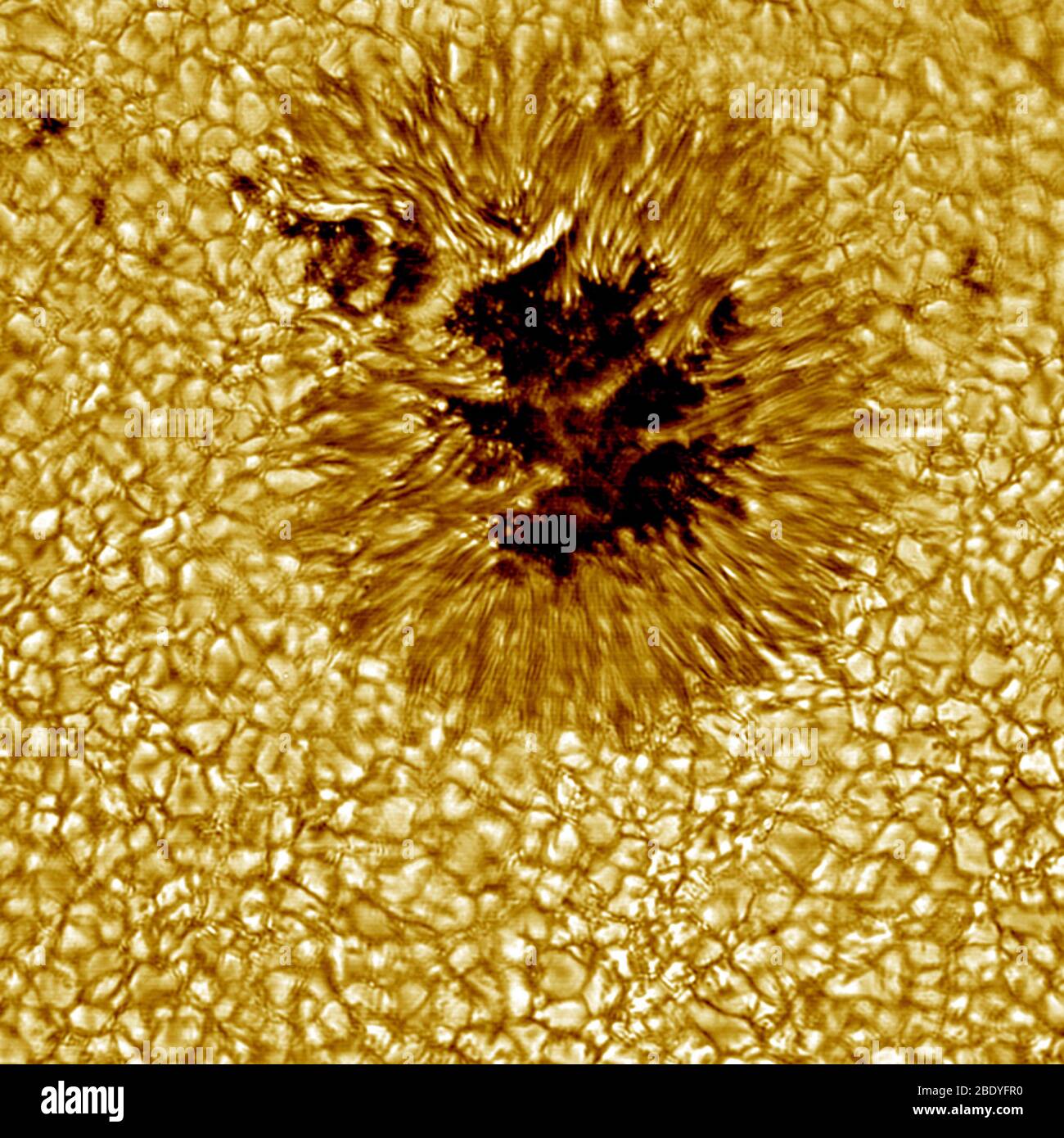 Macchie solari Foto Stock