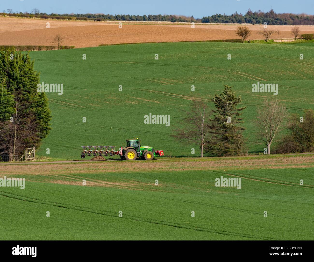 Trattore in paesaggio arabile in giornata di sole, East Lothian, Scozia, Regno Unito Foto Stock