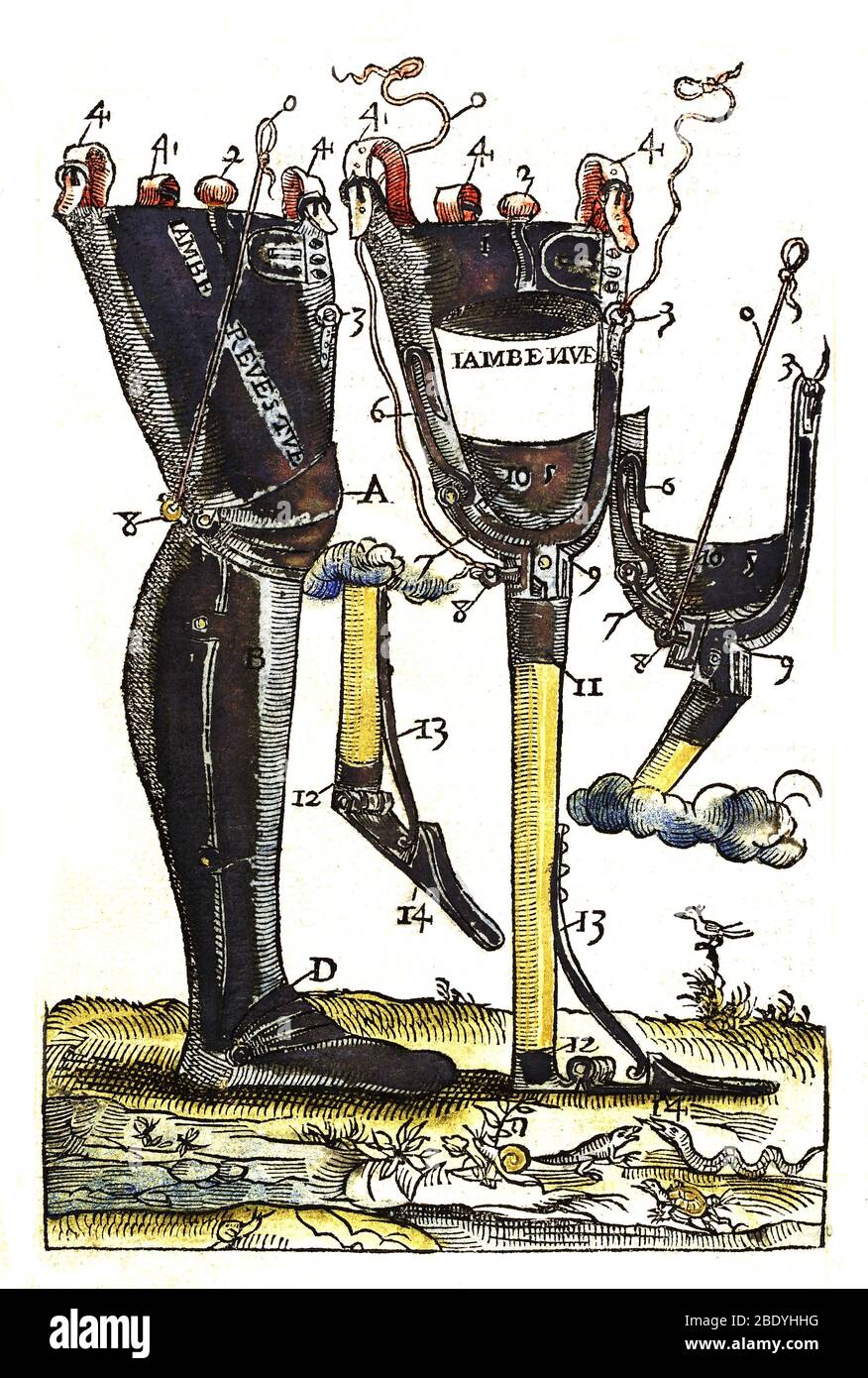 Gambe artificiali disegnate da Ambroise Pare, 1564 Foto Stock