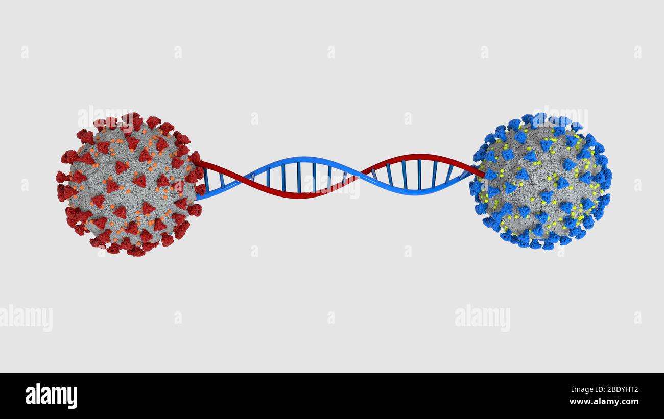 Immagine 3D Helix DNA di mutazione coronavirus Foto Stock