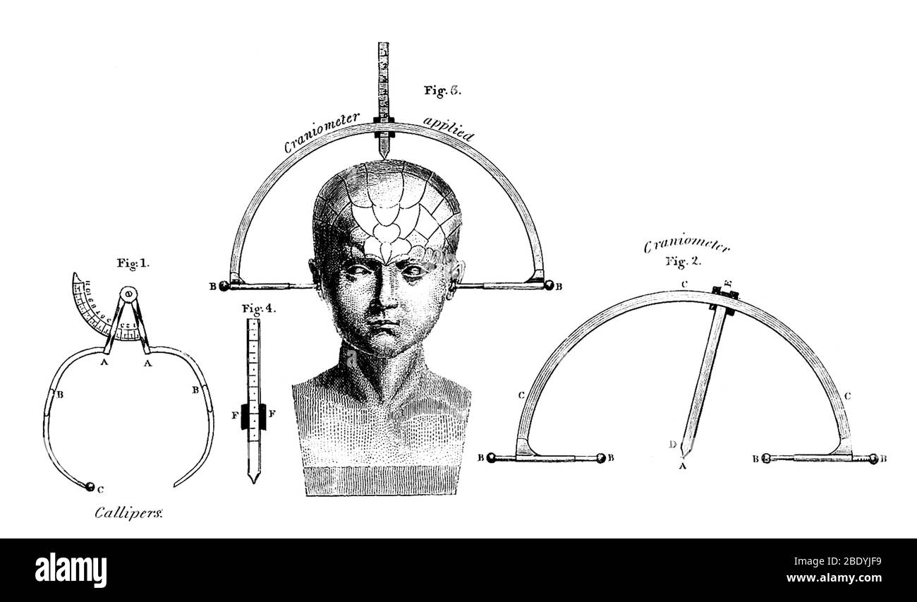 Pinze e Craniometro per Phroenology, 1824 Foto Stock