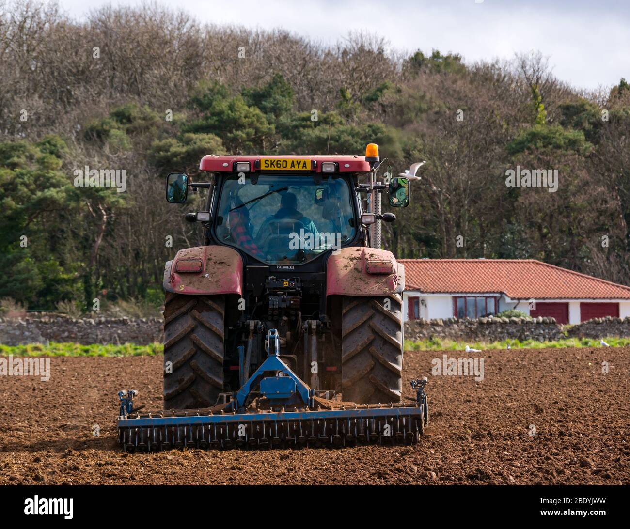Trattore in campo in terreno agricolo, East Lothian, Scozia, Regno Unito Foto Stock