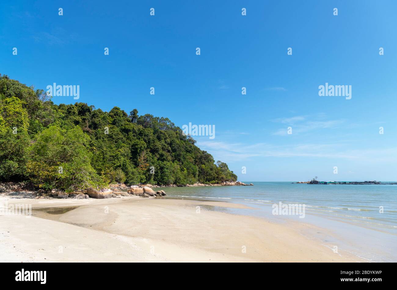 Spiaggia nel Parco Nazionale di Penang, Teluk Bahang, Penang, Malesia Foto Stock