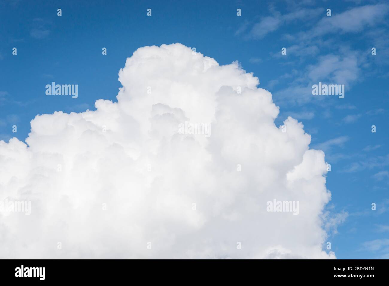 Cumulus Cloud su un cielo blu, Inghilterra Foto Stock