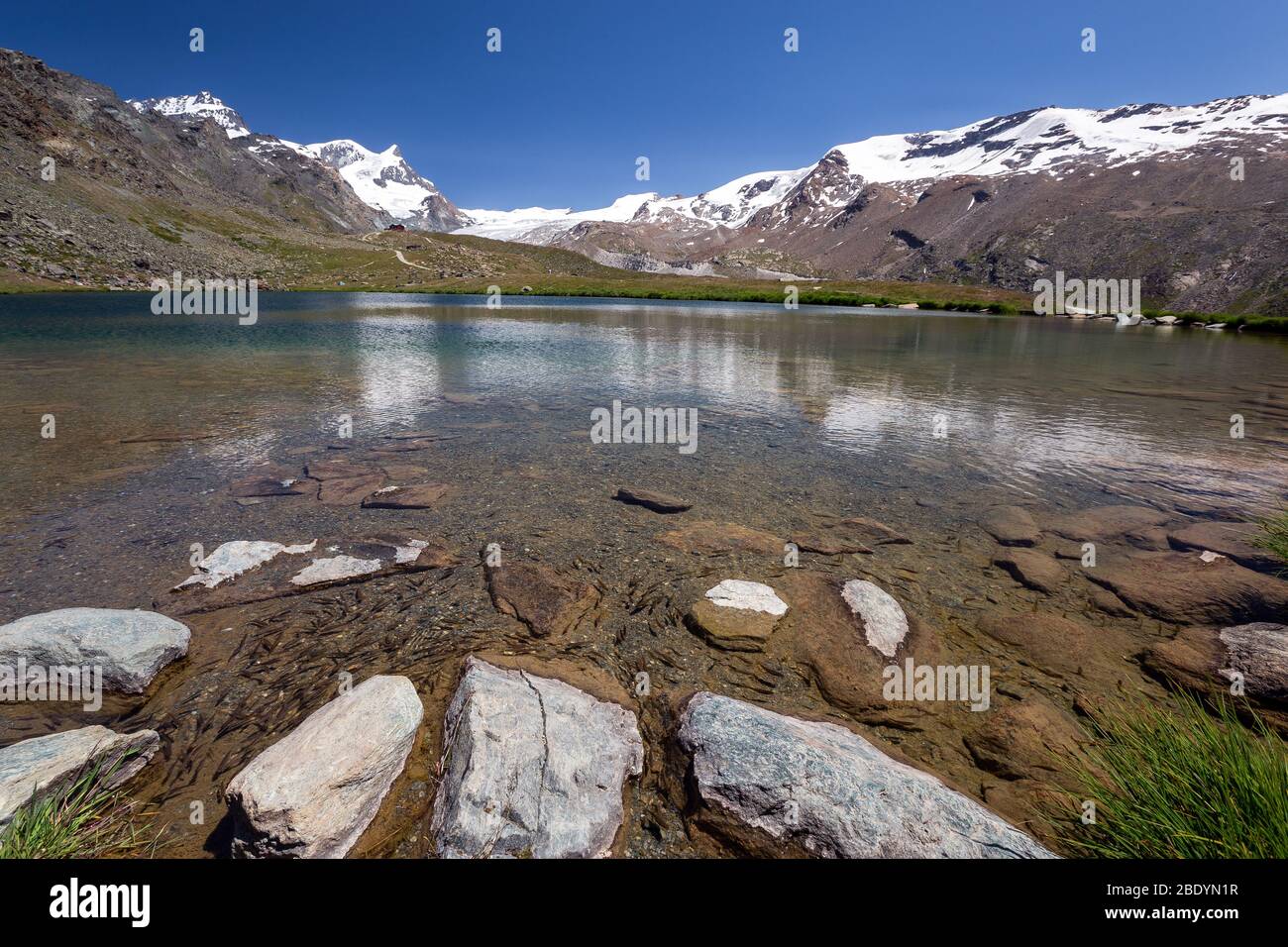 Lago Stellisee. Paesaggio alpino in estate. Zermatt. Vallese. Alpi svizzere. Europa. Foto Stock