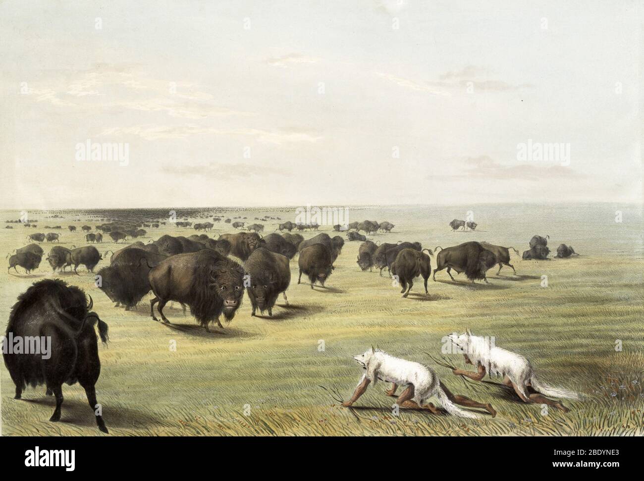 I nativi americani si sono mimetati per la caccia ai bufali Foto Stock