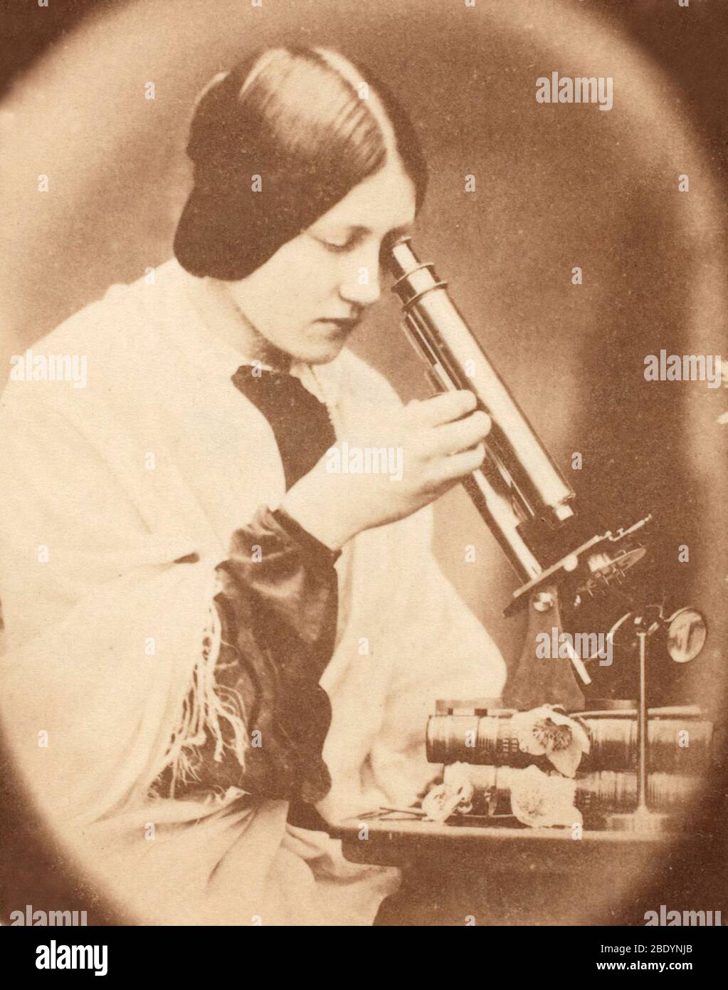 Thereza Dillwyn Llewelyn con microscopio, 1854 Foto Stock