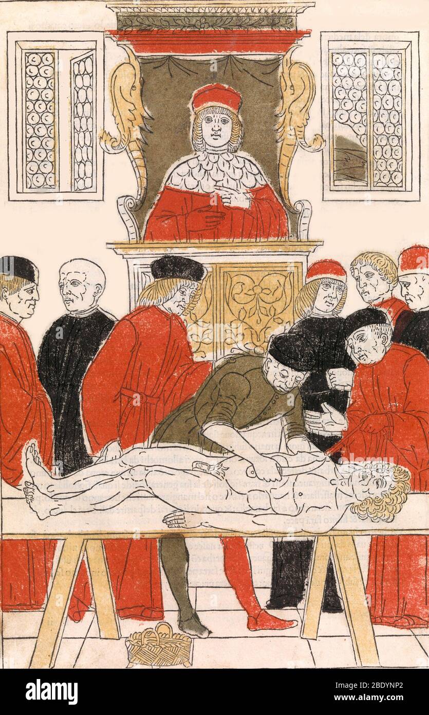 Dissezione medievale, 1491 Foto Stock