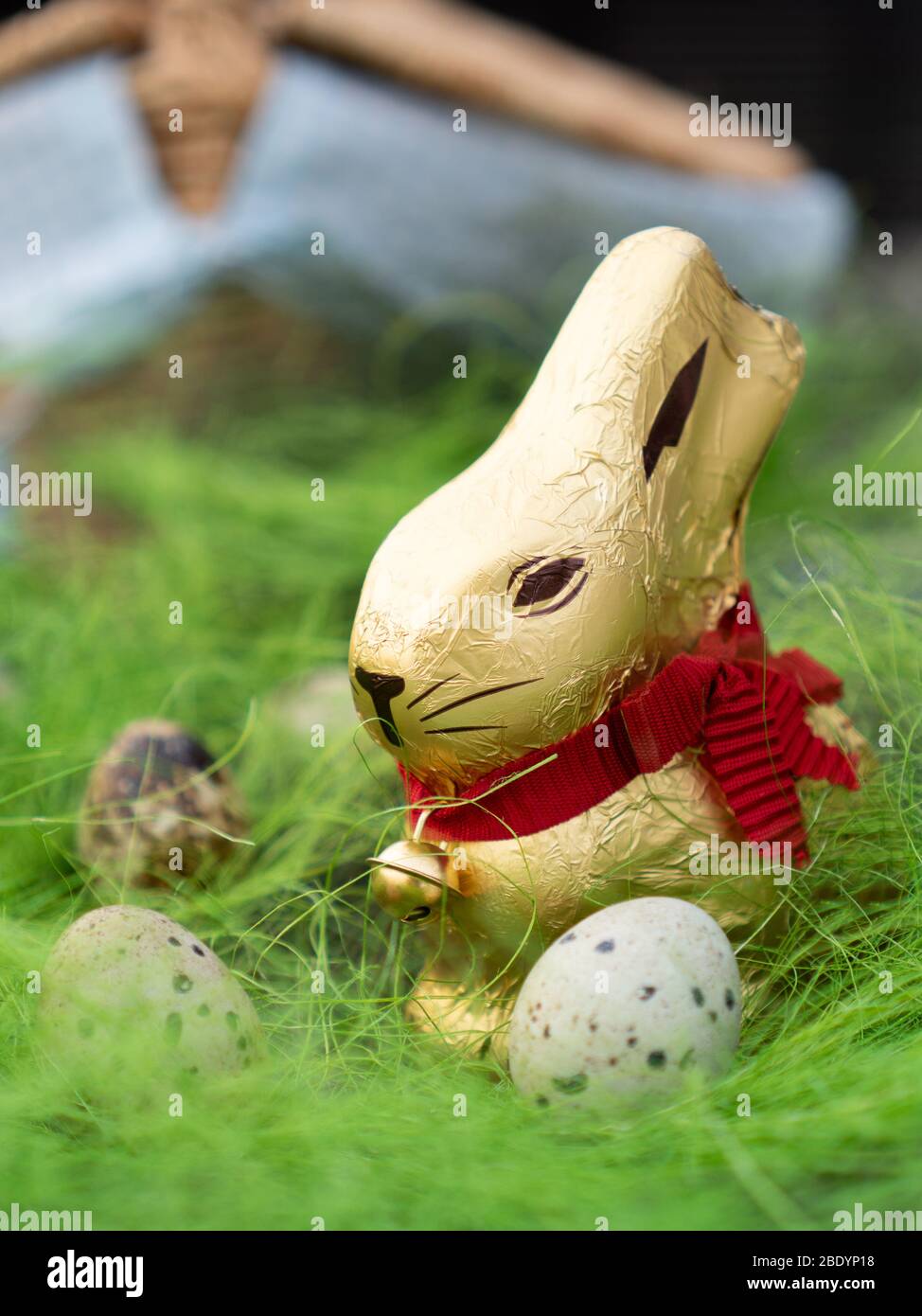 Il coniglio al cioccolato di Pasqua caccia le uova felici. Coniglietto d'oro. Tema bellissimo Foto Stock