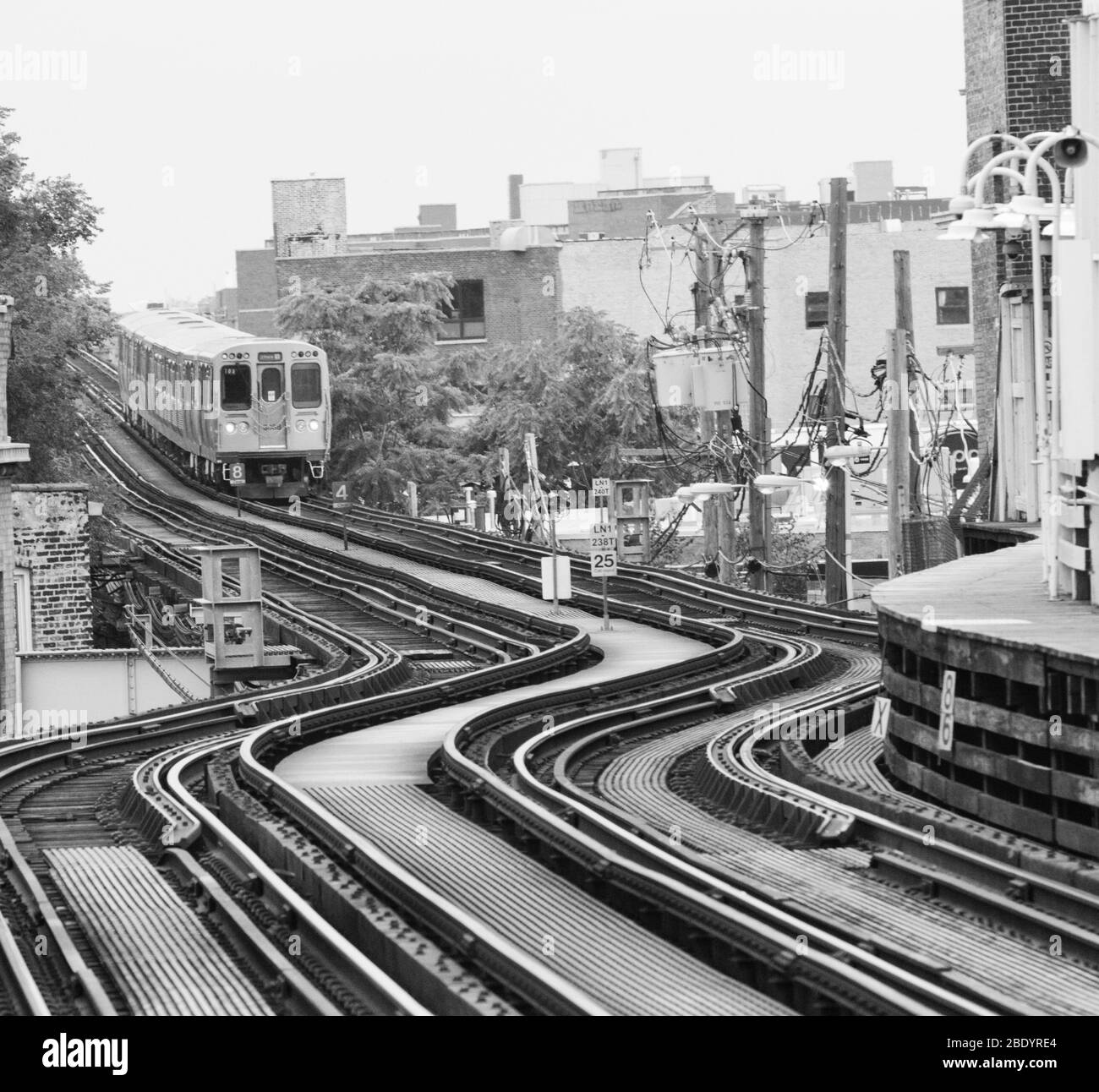 Treno sopraelevato che passa attraverso la città, Damen, Chicago, Illinois, USA Foto Stock