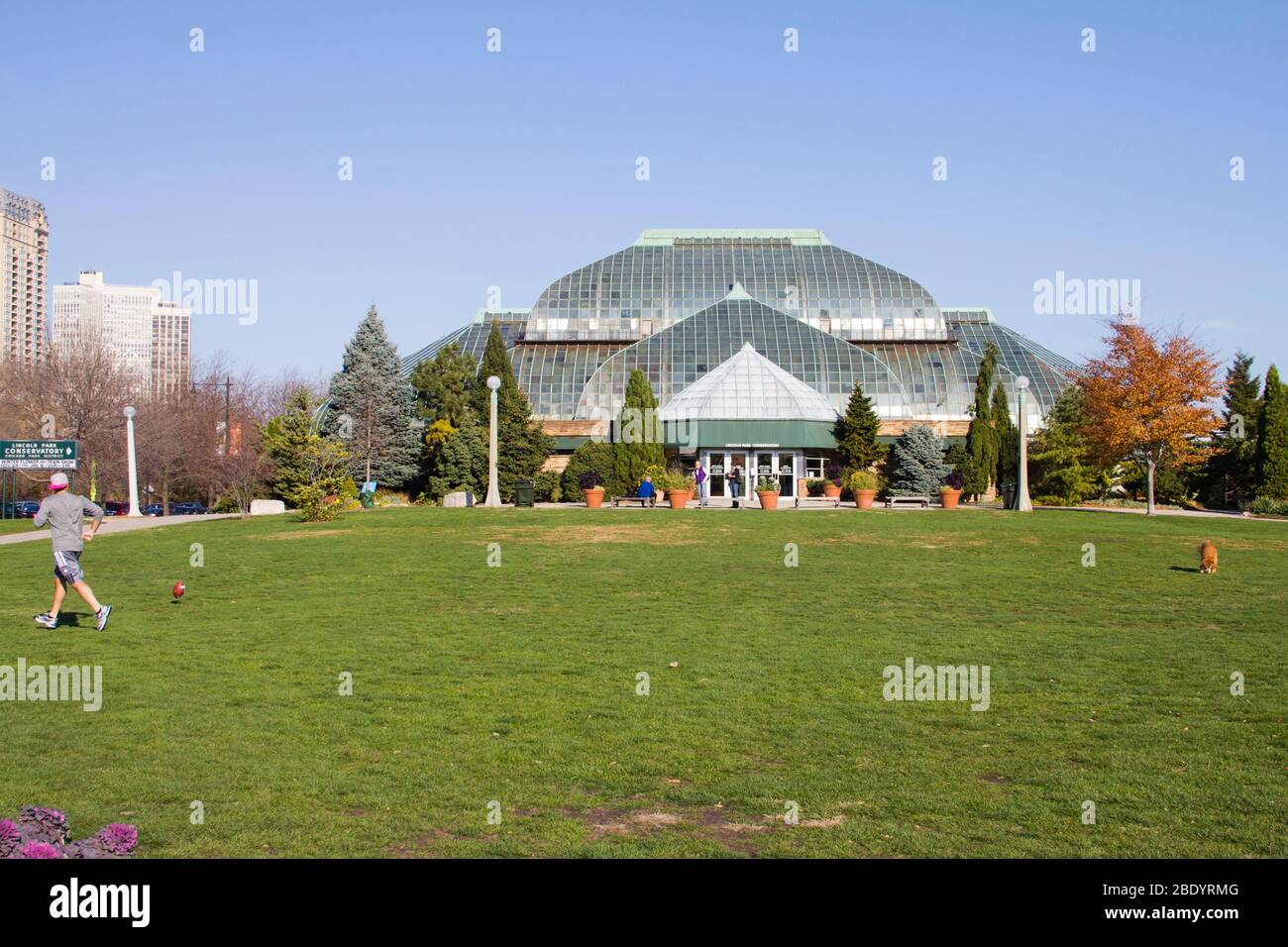 Uomo che corre verso la palla, Lincoln Park, Chicago, Illinois, Stati Uniti Foto Stock