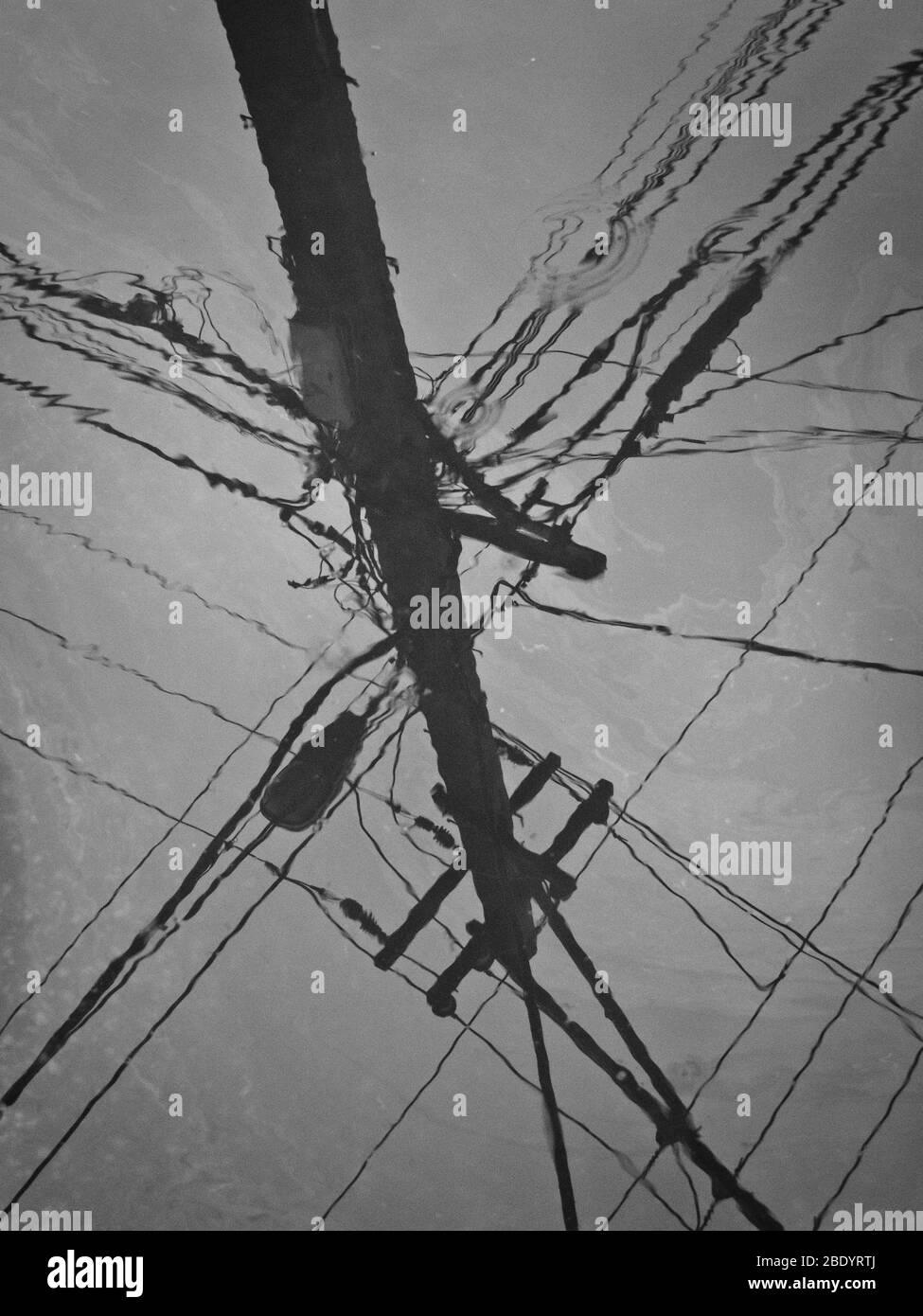 Riflessione di linee elettriche su acqua, Chicago, Illinois, USA Foto Stock