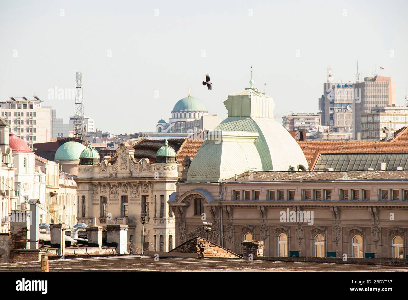 Belgrado, Serbia - 18 marzo 2020: Tetti della città in una giornata di sole con un uccello che vola sopra Foto Stock
