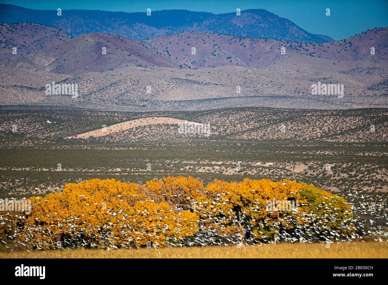 Paesaggio montano, Socorro, New Mexico, USA Foto Stock