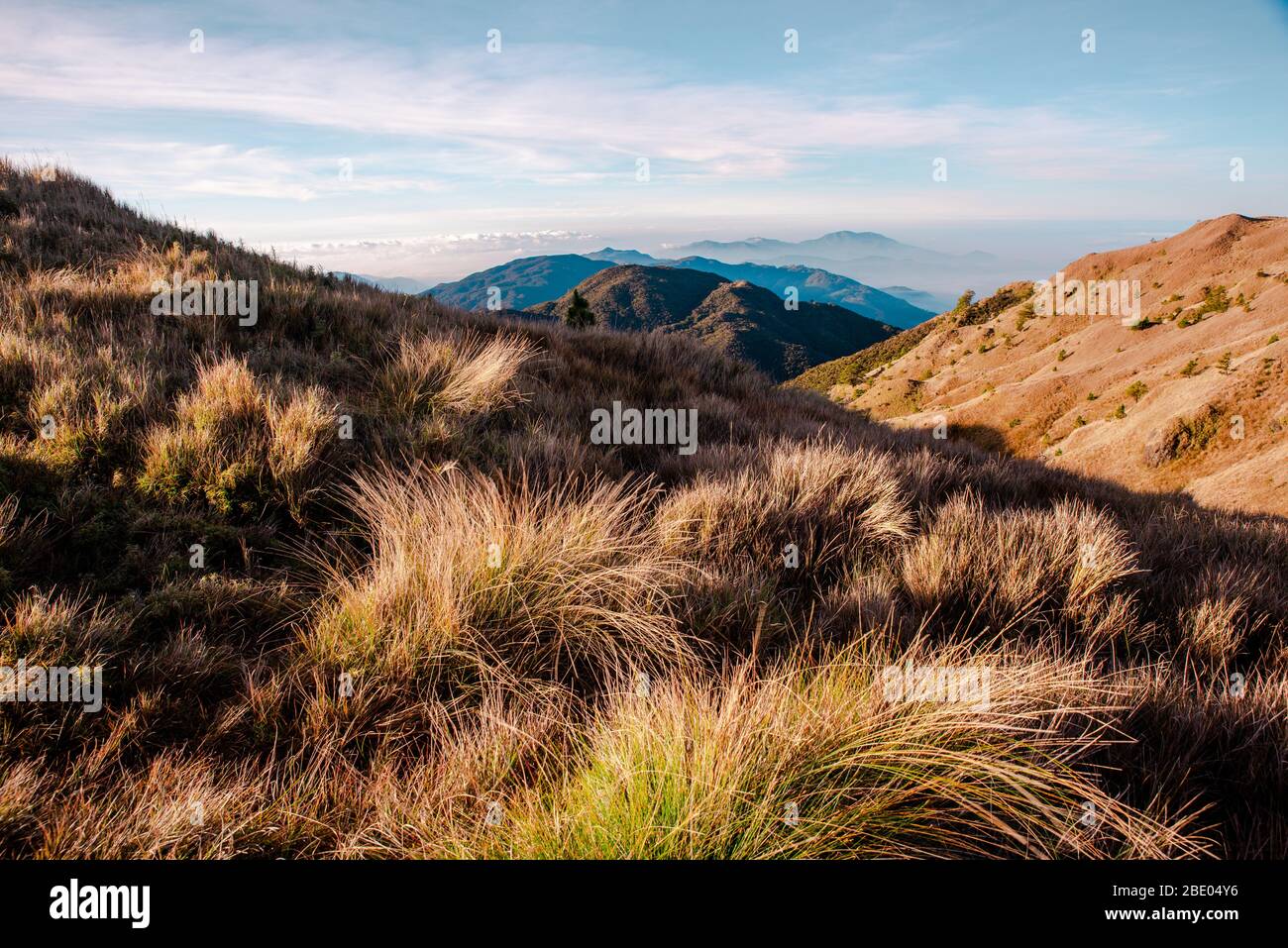 Creste di montagna di corrillera dalla cima del Monte Pulag, Benguet, Filippine. Foto Stock