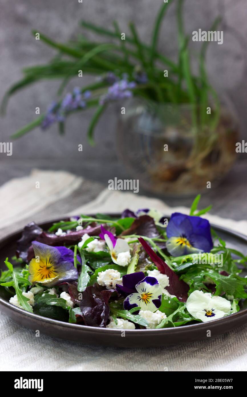 Insalata di pansies ed erbe condite con olio vegetale, succo di limone e spezie. Foto Stock
