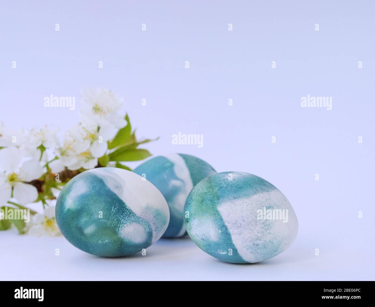 Uova di Pasqua colorate con un colore naturale di cavolo rosso su sfondo bianco con spazio vuoto decorato con fiori primaverili closeup. Foto Stock