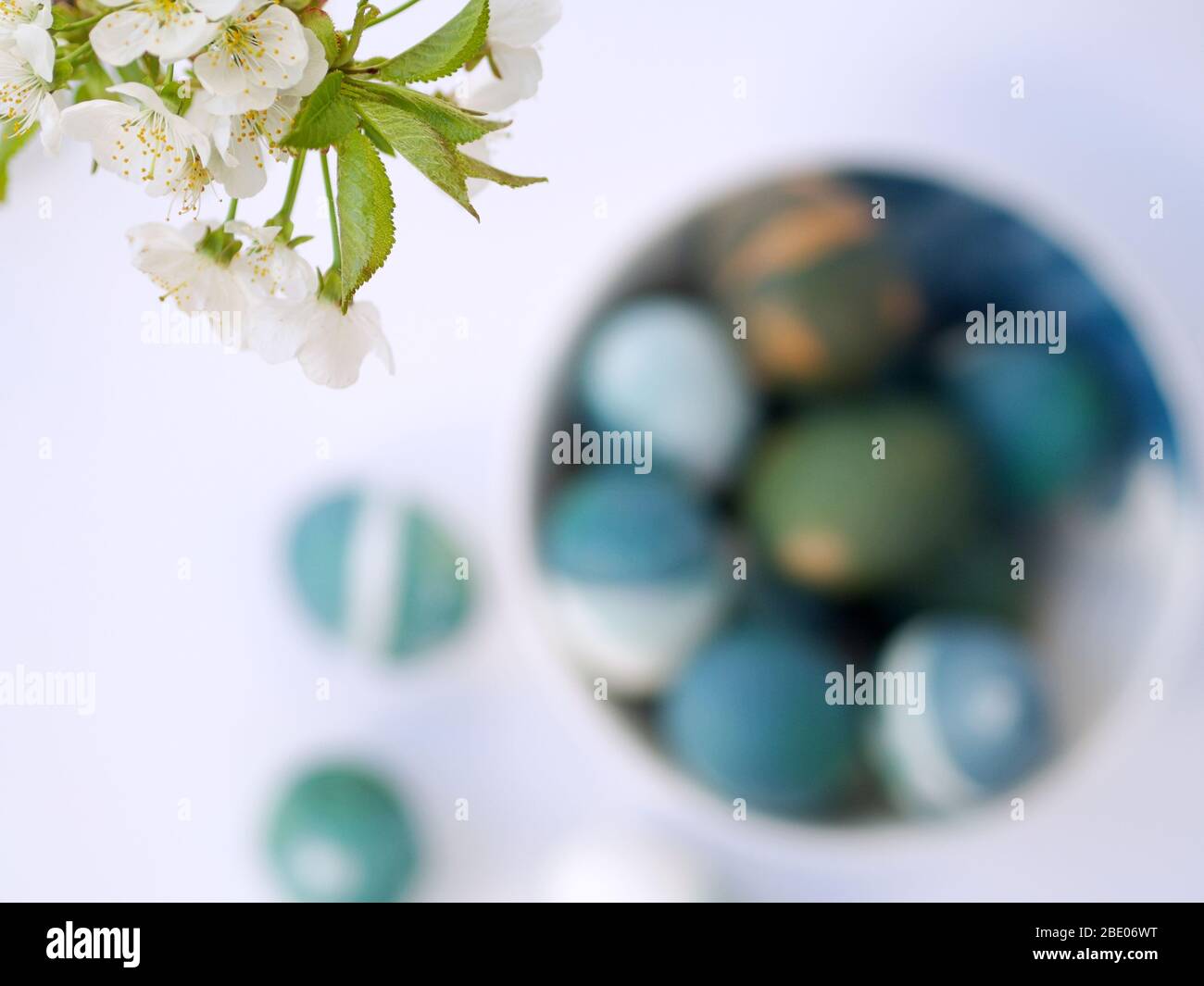 Uova di Pasqua colorate con un colore naturale di cavolo rosso su sfondo bianco con spazio vuoto decorato con fiori bianchi di primavera in una ciotola blu chiaro. Foto Stock