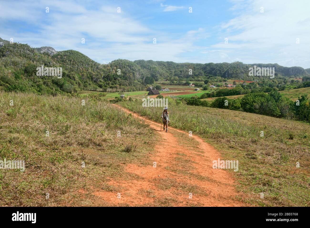 Bellissimo paesaggio nella Valle di Viñales, Cuba Foto Stock