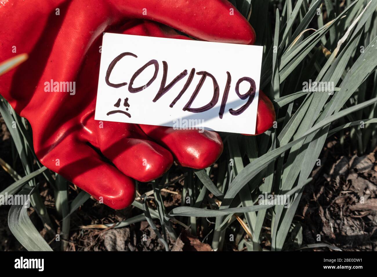 Covid19 parole su carta bianca con mano guanto rosso su fondo erba incolore. Prevenzione della quarantena rischi sicurezza Rimani bloccato informazioni Foto Stock