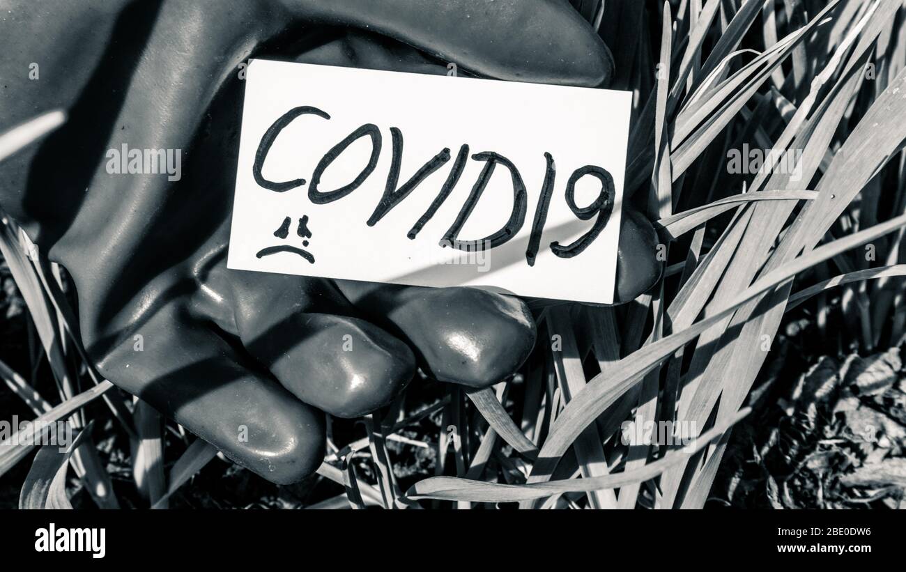 Covid19 parole su carta bianca che tiene in mano guanto rosso su sfondo erba. Prevenzione della quarantena rischi sicurezza informazioni soggiorno. Colore bianco e nero Foto Stock
