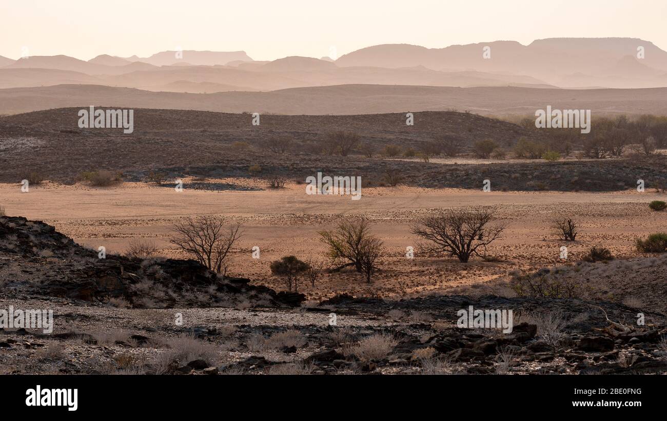 Paesaggio collinare e arido del deserto namibiano all'alba Foto Stock