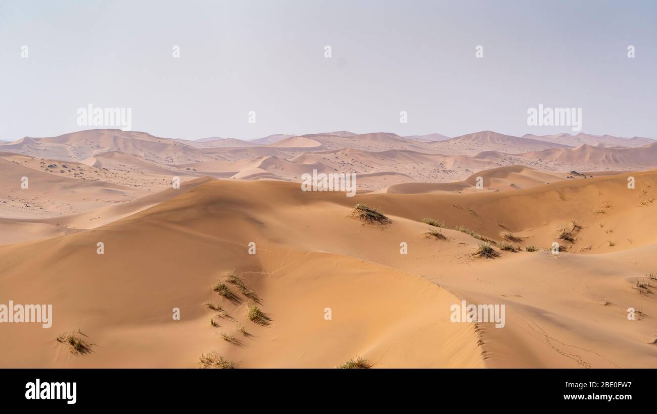 Vista aerea delle dune di sabbia nel deserto della Namibia Foto Stock