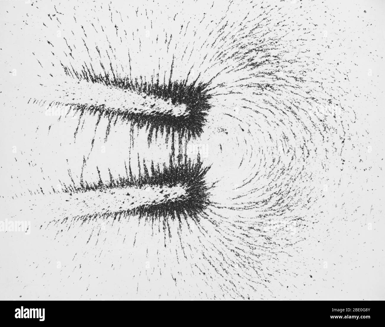Vista laterale di un campo magnetico a ferro di cavallo. Il campo si manifesta nelle linee di flusso delle limature di ferro. Le interazioni tra le limature le fanno accumulare in linee d'arco nel campo continuo. Foto Stock