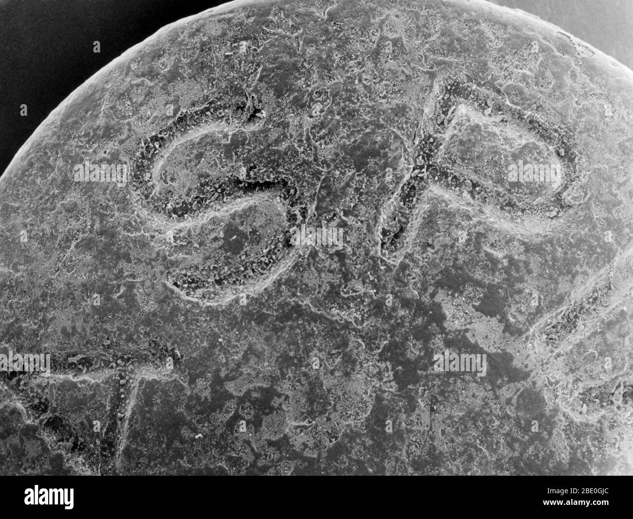 Scansione di una micrografica elettronica (SEM) di una tavoletta di aspirina. Le lettere "A S P" nella parola aspirina sono visibili sulla superficie della tavoletta. La foto mostra che la compressa apparentemente liscia ha una composizione eterogenea. 60x a 8x10'. Foto Stock