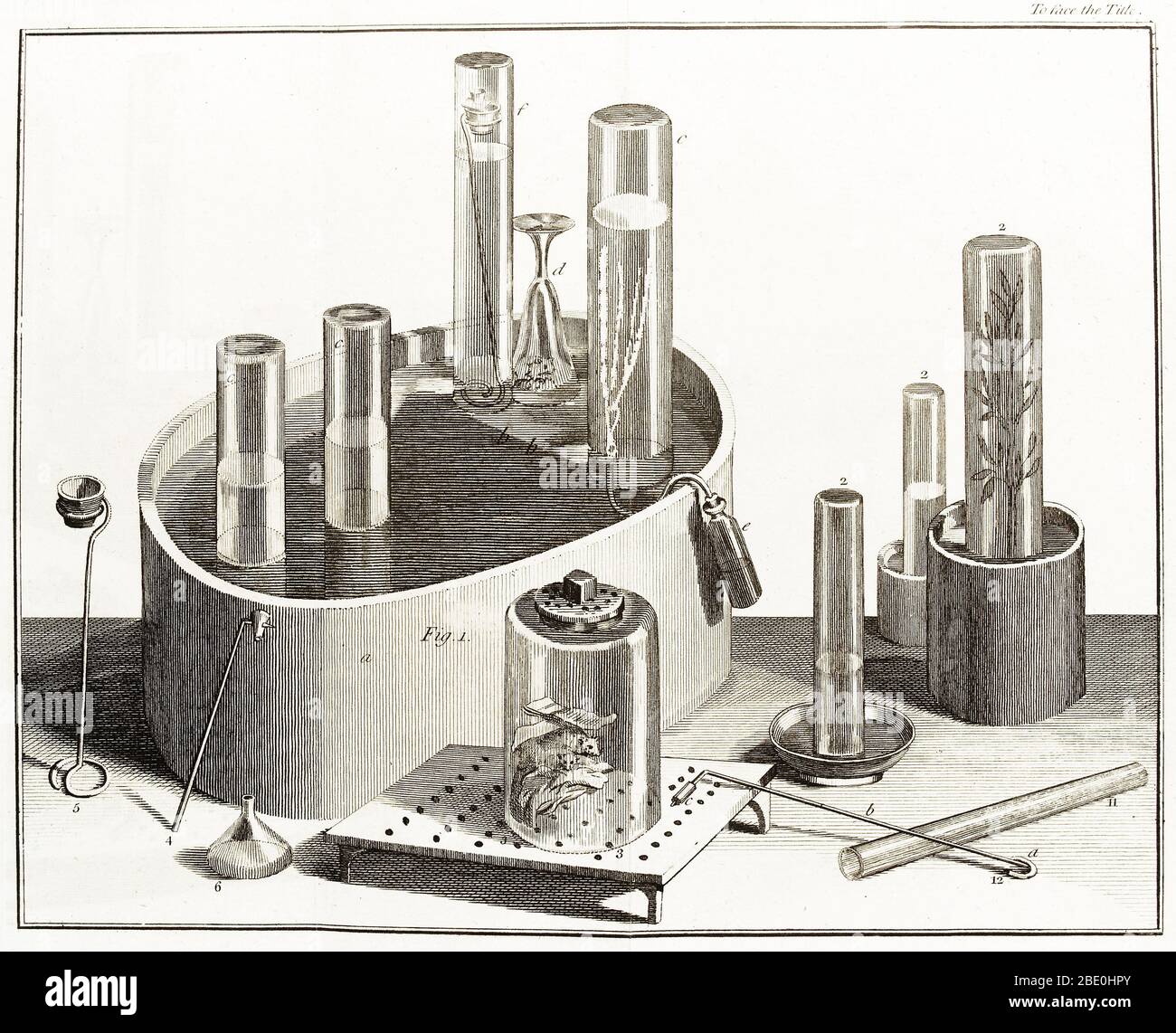 Alcune delle attrezzature di laboratorio di Joseph Priestley, 1775. Joseph Priestley (1733-1804) è stato un teologo inglese, filosofo naturale, chimico, educatore e teorico politico. La sua ricerca scientifica più famosa è stata sulla natura e le proprietà dei gas. Con un intelligente disegno di apparecchi e un'attenta manipolazione, Priestley isolò e caratterizzò otto gas, tra cui l'ossigeno, e da questo lavoro emerse i suoi più importanti testi scientifici: I sei volumi di esperimenti e osservazioni sui diversi tipi di aria (1774-86), da cui questa immagine è presa. Ha anche contribuito alla comprensione Foto Stock
