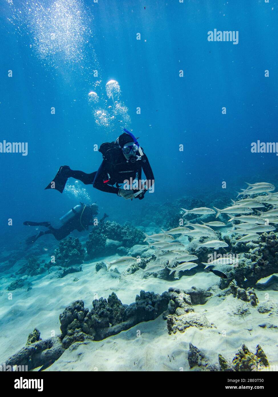 Scubadiver che esplora i detriti sulla barriera corallina presso il sito di immersione Mahukona sulla Big Island delle Hawaii. Foto Stock